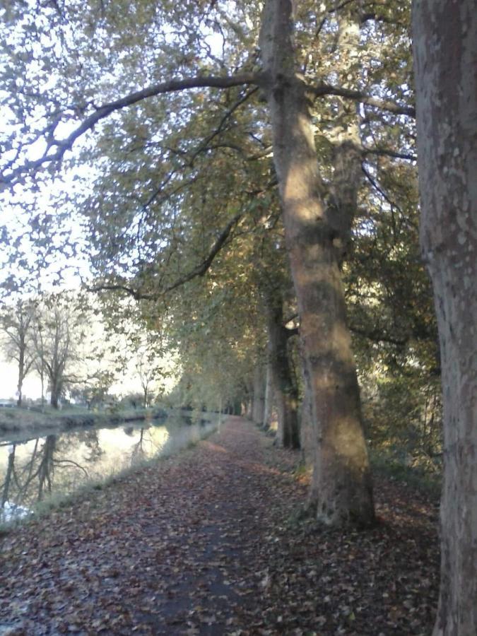 Gite 3 Etoiles "Entre Sources Et Riviere" Besancon Vaire-le-Grand Buitenkant foto